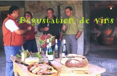 degustation de vin