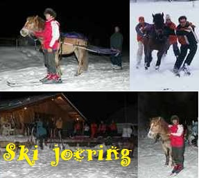 ski joering