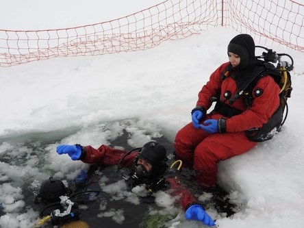 plongee sous glace